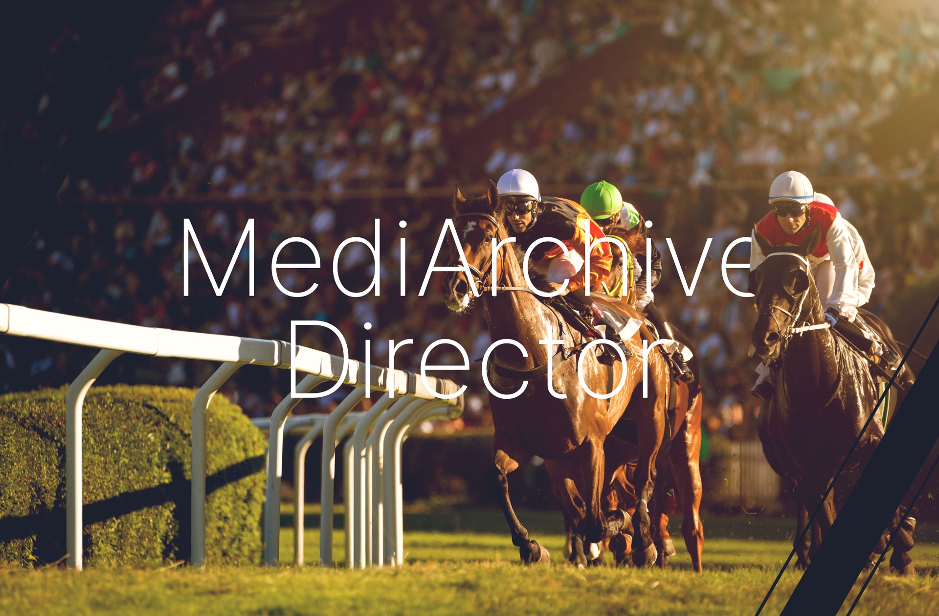 Horse racing