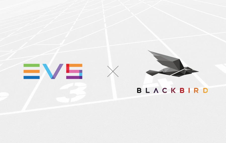EVS feat Blackbird