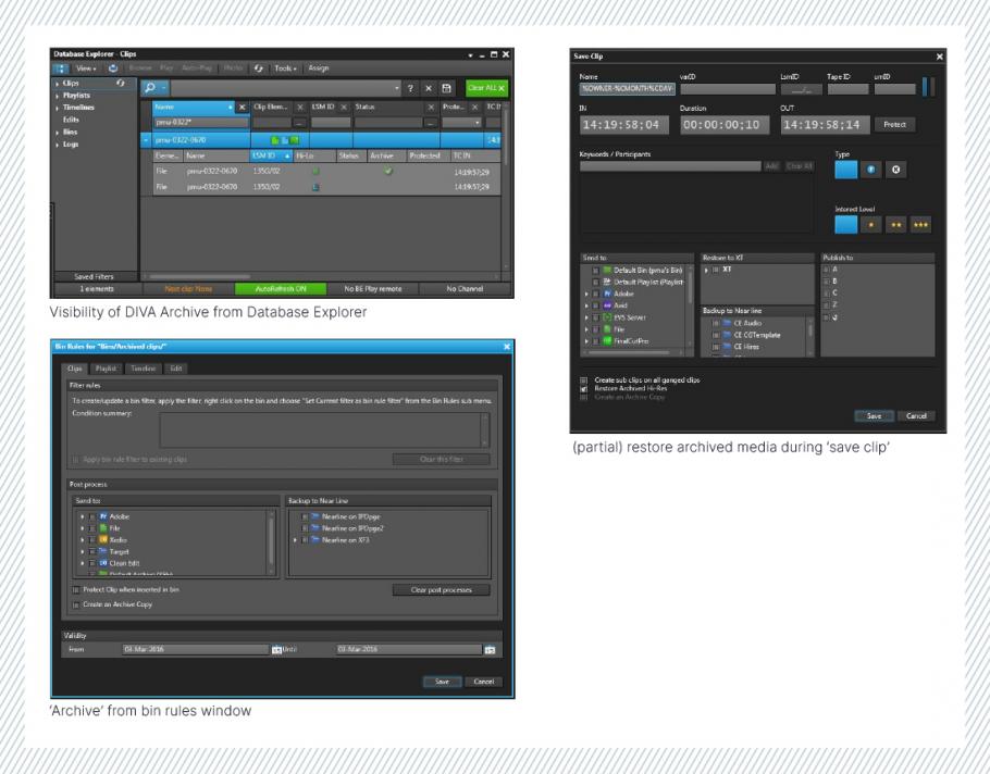 3 Interfaces showing DIVA integration