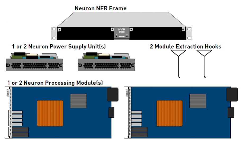 Neuron box content