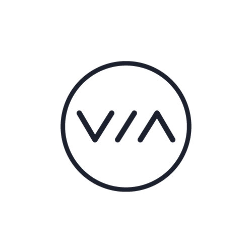 EVS VIA logo