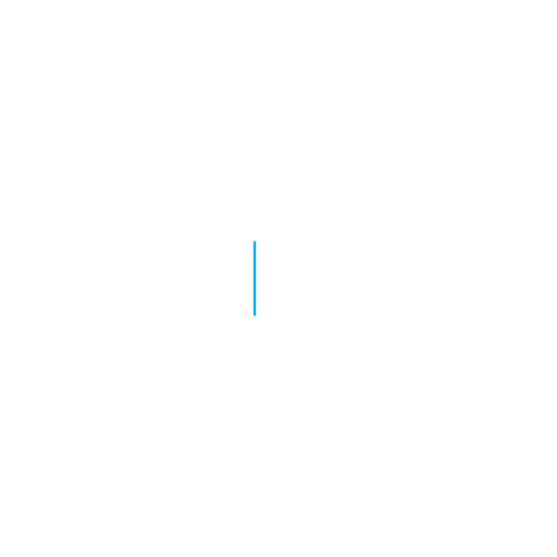 EVS LSM-VIA logo