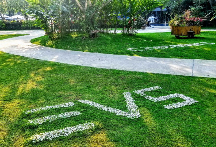 Sustainability at EVS