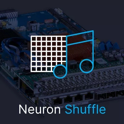 Neuron Shuffle