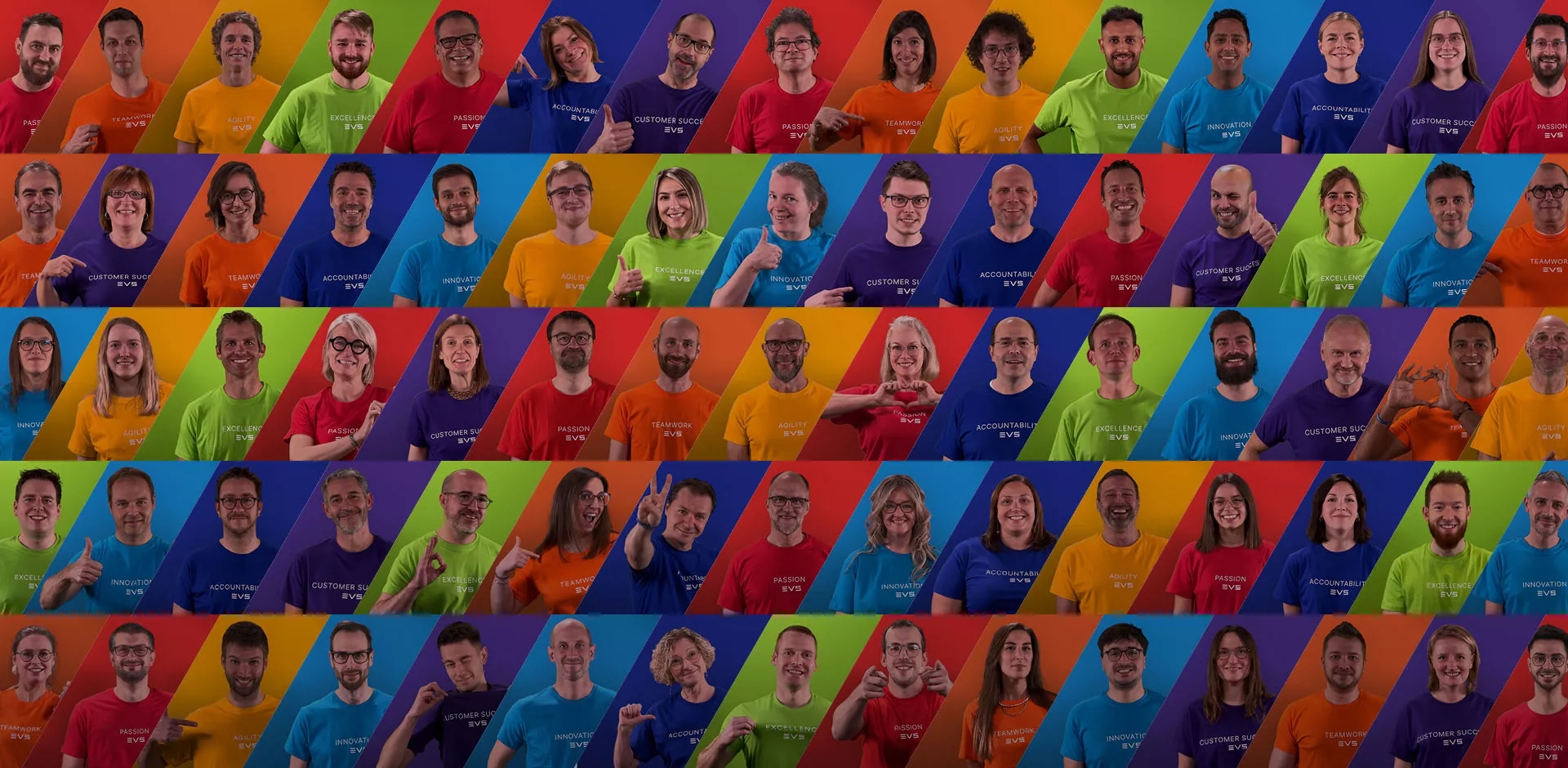 EVS employee mosaic