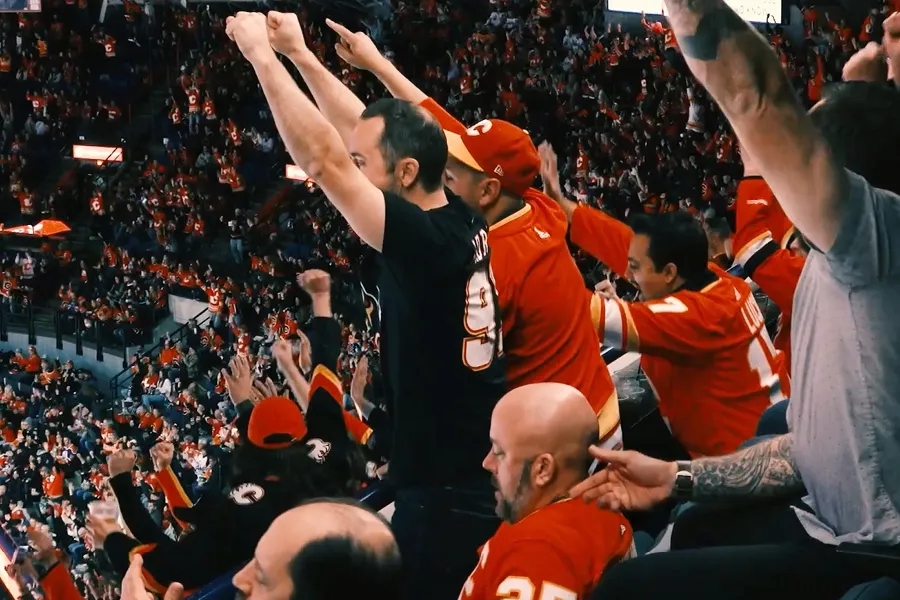 fans cheering in stadium